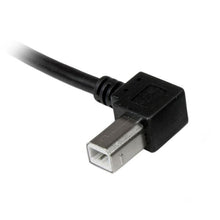 StarTech.com 2m USB 2.0 A - B câble USB USB A USB B Noir StarTech.com